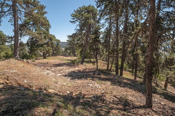 Troodos Geopark, located on Troodos
wooded peak, making up the deepest layer
of oceanic crust section, and Earth's upper
mantle, formed deep below sea-level more
than 90 million years ago, Cyprus