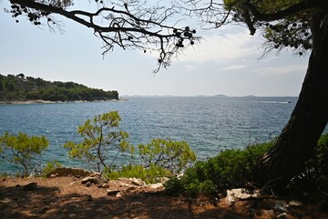 Seascape with pine trees and turquoise Mediterranean sea in Croatia