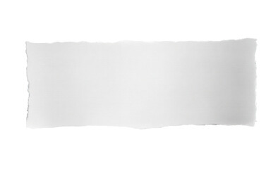 Blank, rectangular, slightly irregular shape, light gray