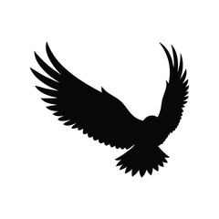 Obraz premium Silhouette of a majestic eagle in flight against a white background