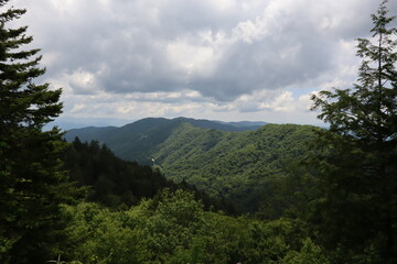 Fototapeta premium Smokey Mountains