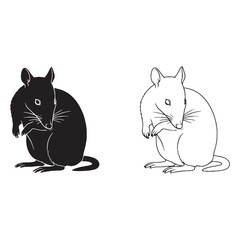 Bandicoot Visual - Unique Critter - Stealthy Forager - Bandicoot silhouette - Bandicoot lineart - Bandicoot vector - vector set of Bandicoot

