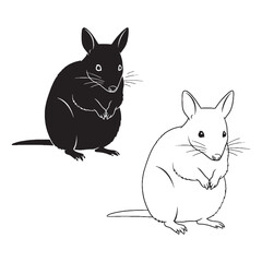 The Bandicoot Graphic - Unique Mammal - Slim Body - Bandicoot silhouette - Bandicoot lineart - Bandicoot vector - vector set of Bandicoot

