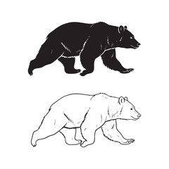 The Bear Outline Pair - Hibernation Ability - Bushy Fur - Bear silhouette - Bear lineart - Bear vector - silhouette & lineart of Bear

