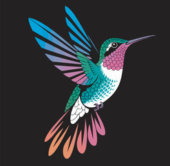hummingbird vector © Mahmuda