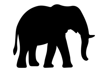 Obraz premium elephant silhouette