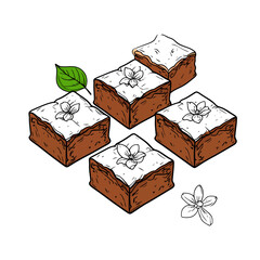 Hand-drawn sketch of five square chocolate brownies with white icing and flower garnish.