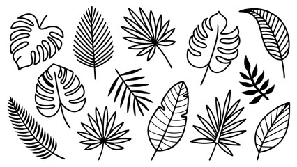 Tropical leaves line art bundle, Outline botanical vector icons including monstera, palm, banana, fern, palm fan silhouettes