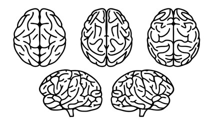 Vector Human Brain Line Art