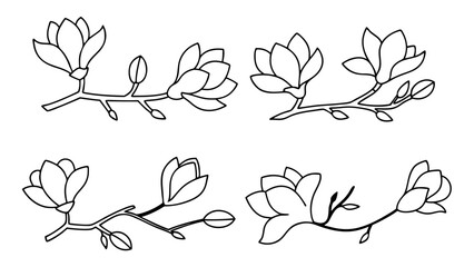 Magnolia flower, magnolia tree branch line art