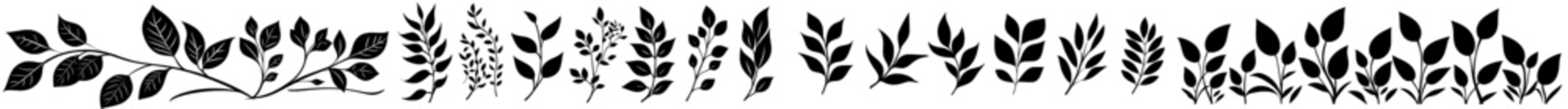 A contemporary collection of leaves is set against a white backdrop, accompanied by the branches of tropical palm trees