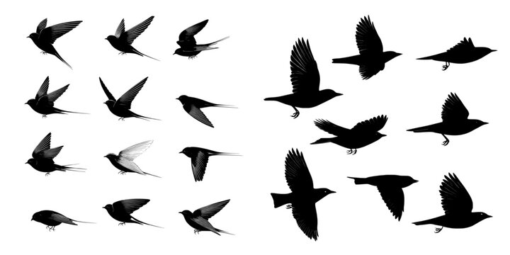 A bird flying is depicted in a silhouette animation sequence, which is part of a loopable sprite sheet