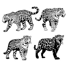 A modern graphic illustration featuring a set of black jaguar silhouettes in various poses, isolated on a white background to highlight the wildcat design