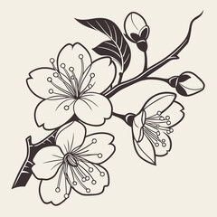 Elegant cherry blossom vector illustration showcasing Japanese cultural essence