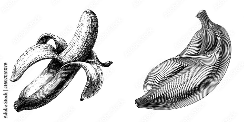 Poster modern illustration of a peeled banana created in continuous line art drawing style with a black lin
