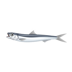 A detailed illustration of a single, silver anchovy fish, isolated on white.
