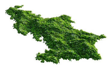 Obraz premium Lush green moss map of a region