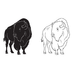 A Bison Art Duo - Free Roaming - Thick Skull - Bison silhouette - Bison lineart - Bison vector - vector set of Bison

