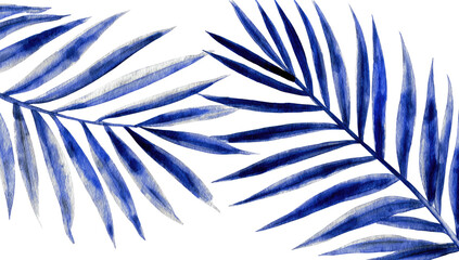 Obraz premium Two indigo palm fronds against a dark background. Watercolor style