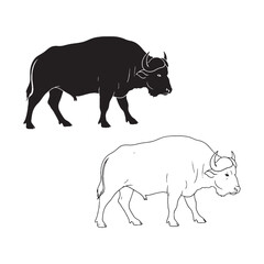 Wild Spirit Conveyed - Buffalo Vector Elements - Versatile Silhouette and Detailed Lineart - Buffalo silhouette - Buffalo lineart - Buffalo vector - silhouette & lineart of Buffalo

