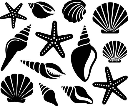 Black silhouettes of seashells and starfishes on white background marine ocean
