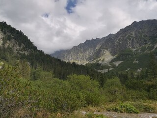Tatra