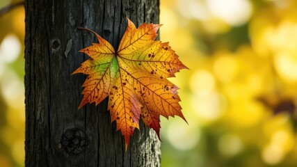 Autumnal Maple Leaf on Rustic Wooden Support