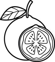 Guava Fruit Vector Illustration in Minimal Line Art Style for Botanical and Packaging Design, Guava Line Art Drawing, Black and White Guava Sketch, Minimal Guava Fruit Outline


