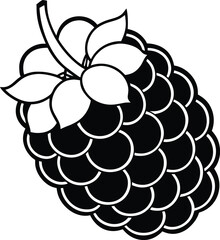 Blackberry isolated line art vector illustration in minimal black outline style perfect for botanical and food designs, Blackberry fruit outline drawing, Minimal blackberry vector, Blackberry cluster 