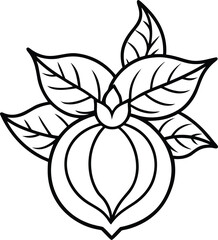 Botanical fruit line tattoo style illustration in minimal black outline perfect for tattoo design and botanical art, Fruit tattoo outline drawing, Minimal botanical fruit tattoo vector, Fruit line 