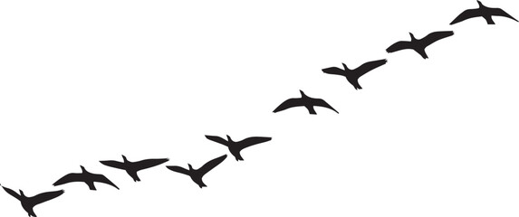 Fototapeta premium vector illustration of flying birds