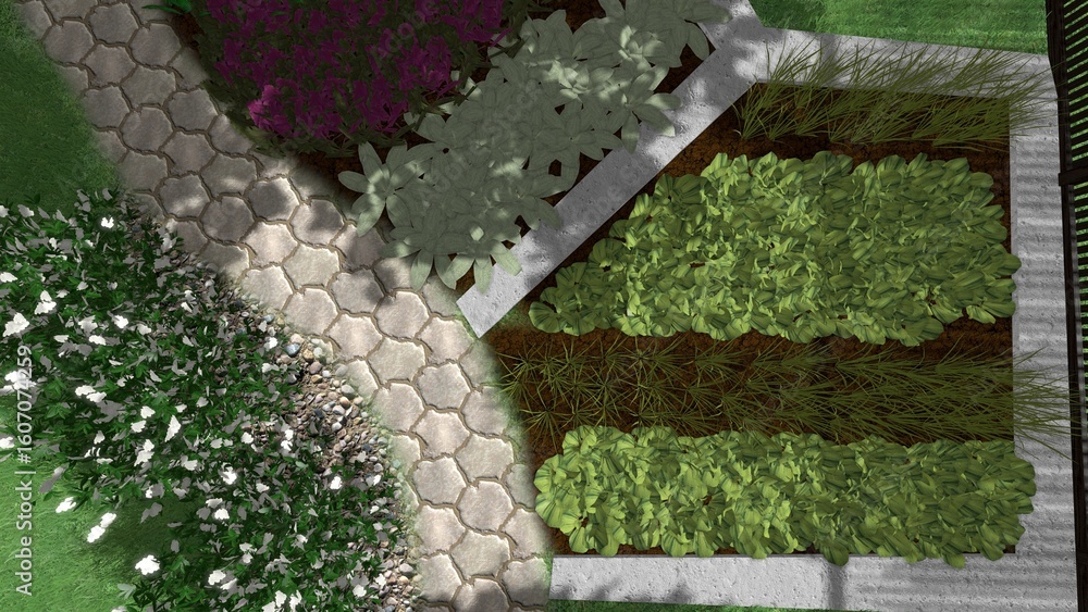 Poster 3d image of the landscape design of the home territory. landscaping of the territory. computer visua