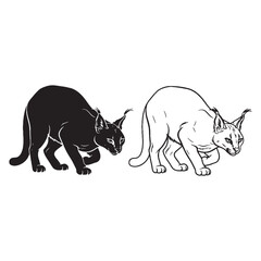 Graceful Form Evident - Caracal Figure Pairing - Sleek Silhouette and Defined Lineart - Caracal silhouette - Caracal lineart - Caracal vector - silhouette & lineart of Caracal

