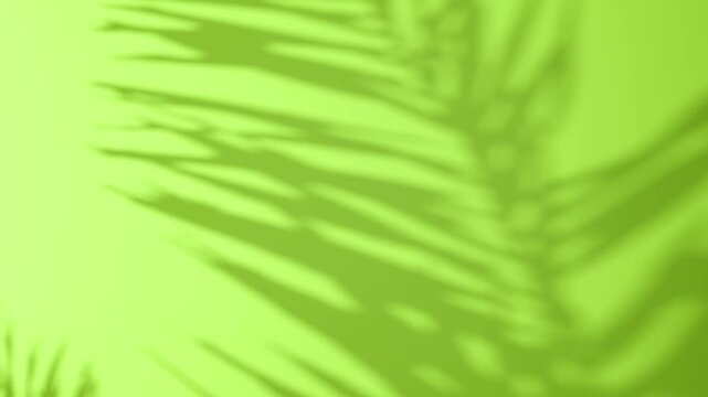 Shadow motion leaves palm in the wind cast dynamic patterns on green background, abstract summer concept, natural sunlight and foliage overlay for eco design. Video background.	