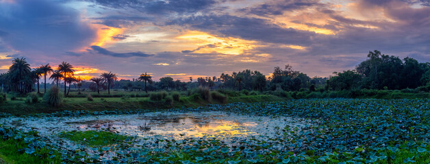 Panoramic image of a sunset over a lake in Bengal, India