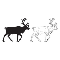 Deer Family Characteristics - Caribou Form Duo - Basic Silhouette and Illustrated Lineart - Caribou silhouette - Caribou lineart - Caribou vector - silhouette & lineart of Caribou


