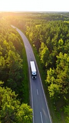 Truck on road with forest Delivery, and transport.