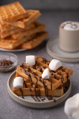 close-up view of belgian waffles topped with marshmallows and drizzled chocolate on a ceramic plate, accompanied by a cup of hot chocolate and a stack of plain waffles in a cozy setting, setting