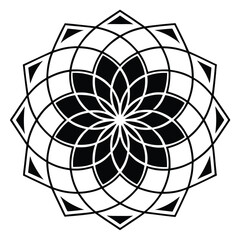 Obraz premium Intricate black geometric floral design black and white