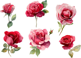 Fototapeta premium bouquet of red roses