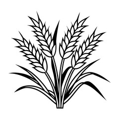 wheat ears isolated on white