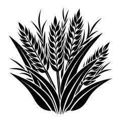 wheat ears isolated on white background