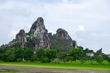 Farmers Working in Vietnamese Countryside