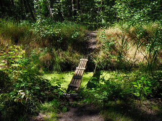 Rustic wooden observation platform overlooking wild meadow with tall grasses and natural vegetation...