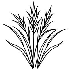 Agrostis stolonifera silhouette vector