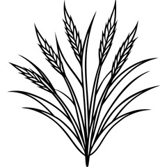 Agrostis stolonifera silhouette vector