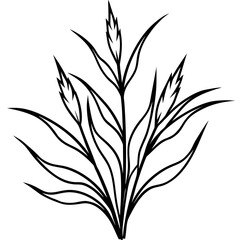 Agrostis stolonifera silhouette vector