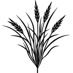 Agrostis stolonifera silhouette vector