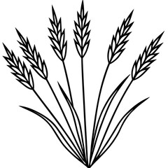 Agrostis stolonifera silhouette vector