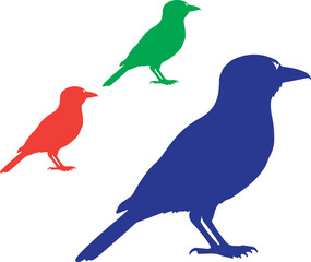 Lilac-Brested in silhouette.